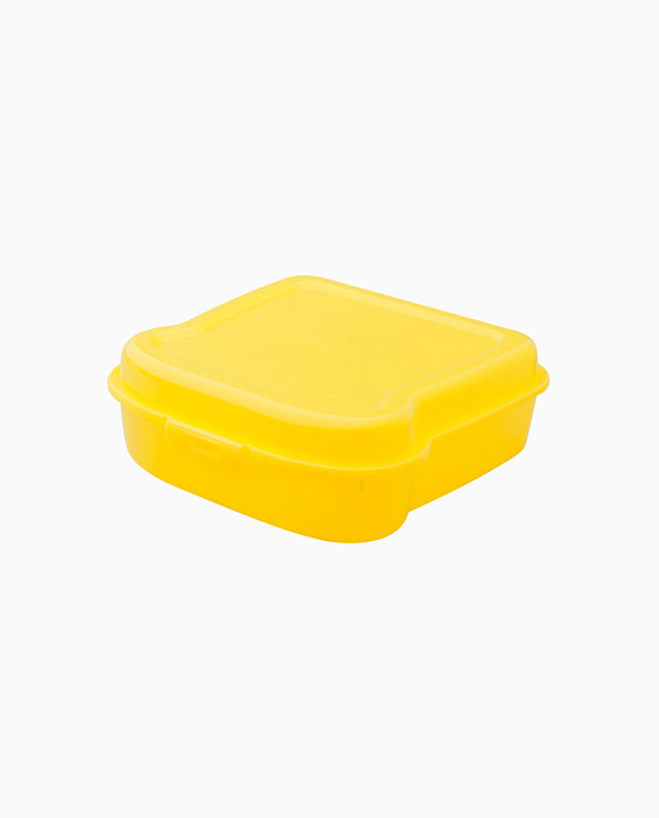 SANDWICH CONTAINER