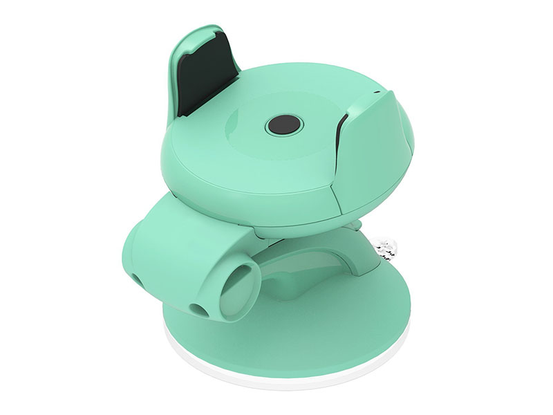Easy Flex Car Mount